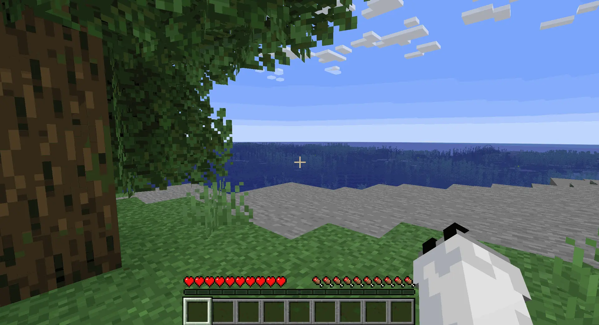 Minecraft Maailma